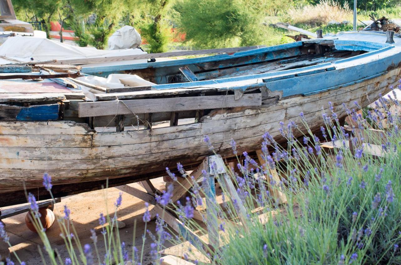 Milica Garden Διαμέρισμα Prvic Sepurine Εξωτερικό φωτογραφία