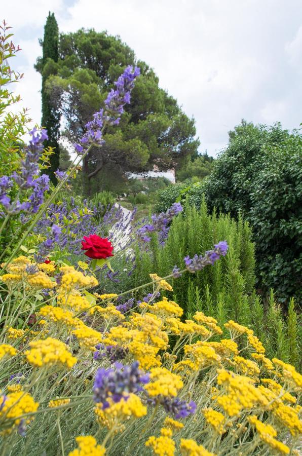 Milica Garden Διαμέρισμα Prvic Sepurine Εξωτερικό φωτογραφία