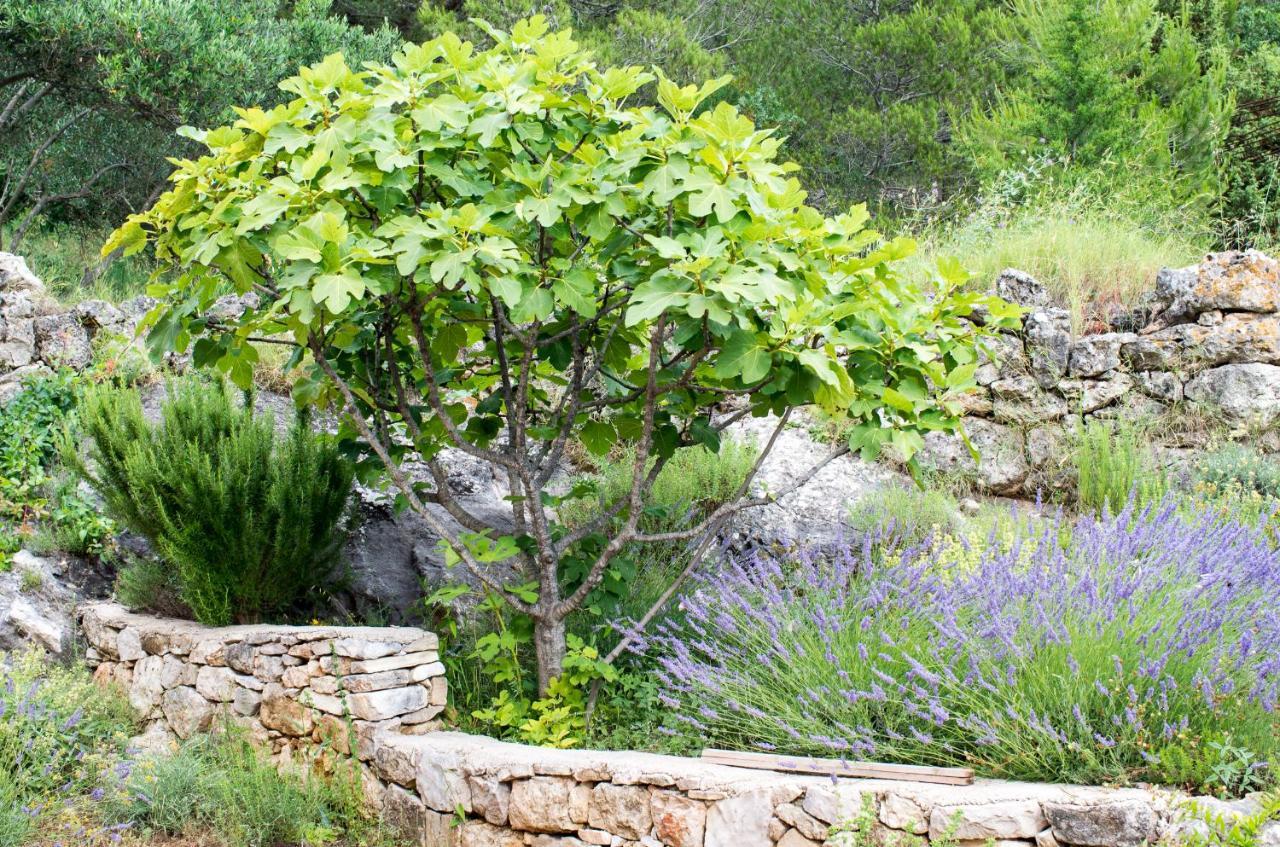Milica Garden Διαμέρισμα Prvic Sepurine Εξωτερικό φωτογραφία