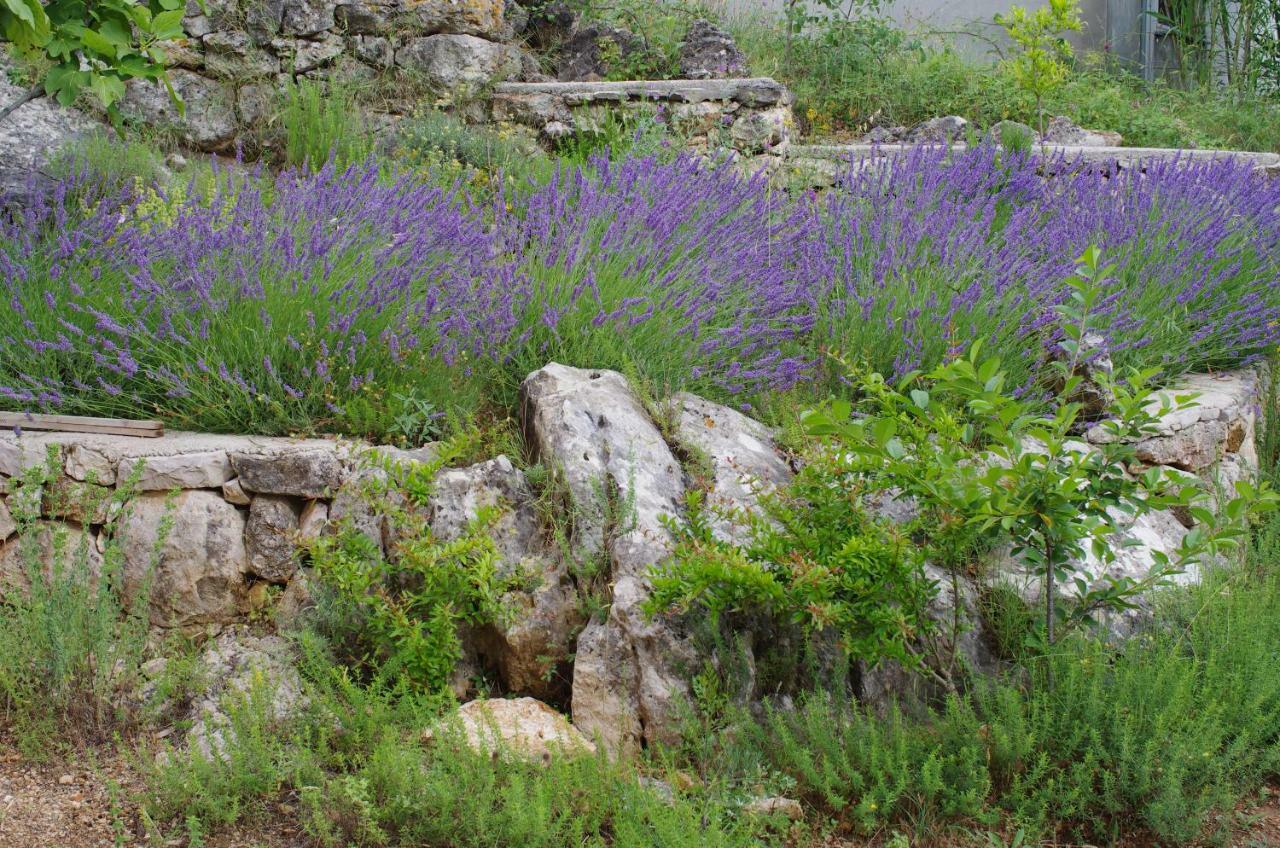 Milica Garden Διαμέρισμα Prvic Sepurine Εξωτερικό φωτογραφία