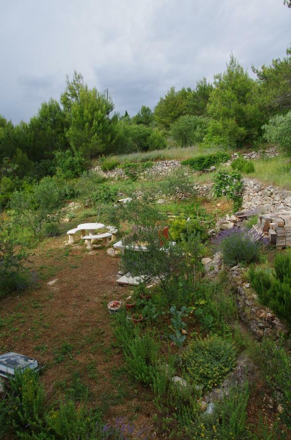 Milica Garden Διαμέρισμα Prvic Sepurine Εξωτερικό φωτογραφία